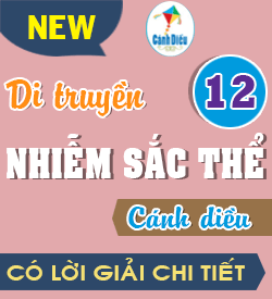 Di truyền Nhiễm sắc thể (CD)